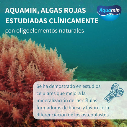 Igennus Calcio Y Magnesio De Algas De Alta Absorción, Con Vitamina D, K2 Y Boro, Etiqueta Limpia,Origen Vegetal,Complejo Mineral De Algas No Transgénicas,Soporte Huesos Y Dientes,Vegano,60 Comprimidos