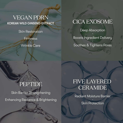 Ampolla Exosome + PDRN + Cica — Firmeza y Restauración (VT Cosmetics)