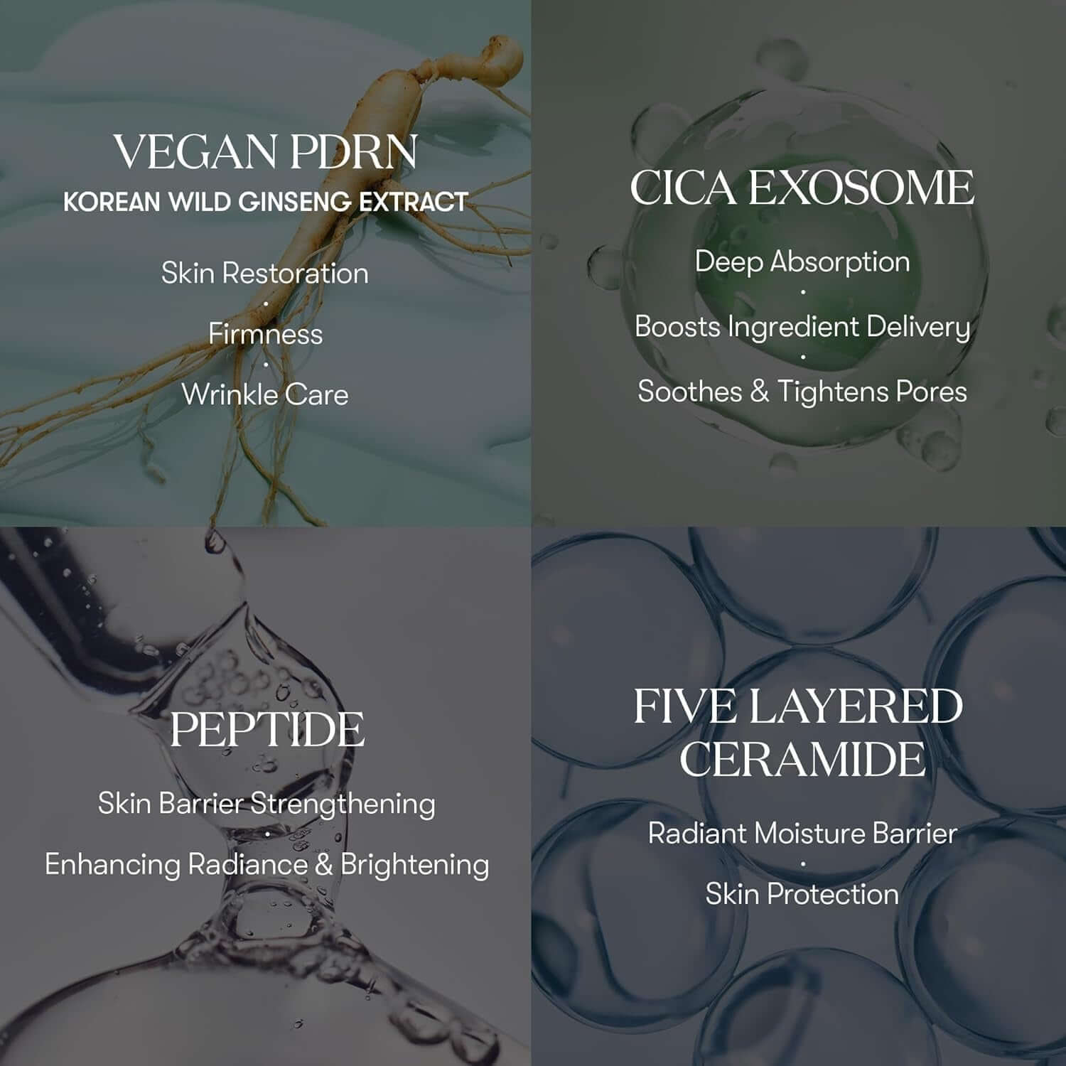Ampolla Exosome + PDRN + Cica — Firmeza y Restauración (VT Cosmetics)
