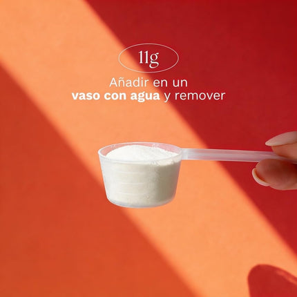 Beauty Collagen | Colágeno Marino, Vitaminas, Ácido Hialurónico, Coenzima Q10 | Piel Y Cabello | Belleza | Menopausia | 309G | Sabor Frutos Del Bosque | 30 Días