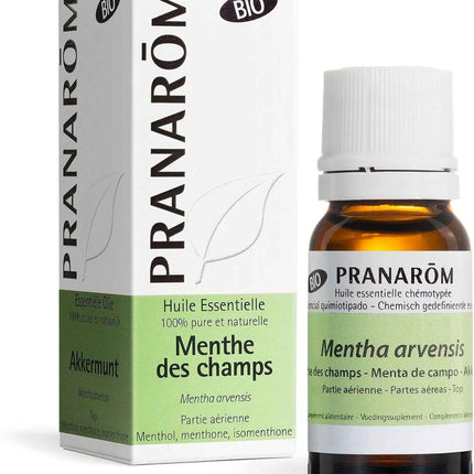 Aceite Esencial Menta de Campo Pranarôm BIO 10 ml